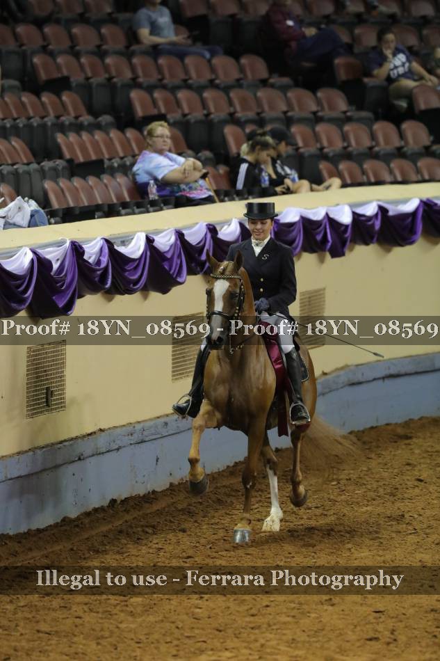 Proof 18YN_08569