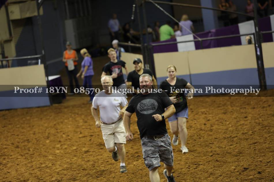 Proof 18YN_08570