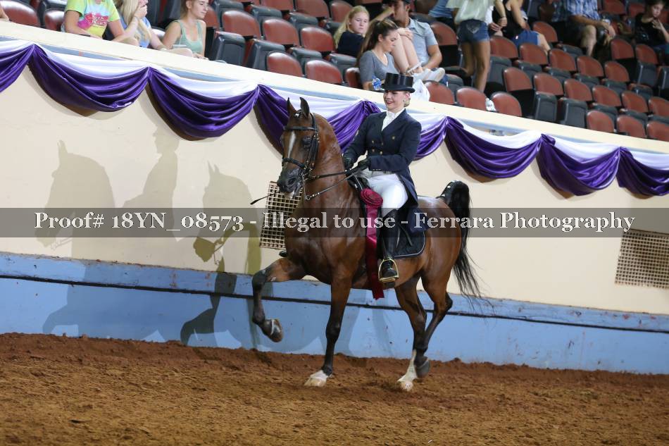 Proof 18YN_08573