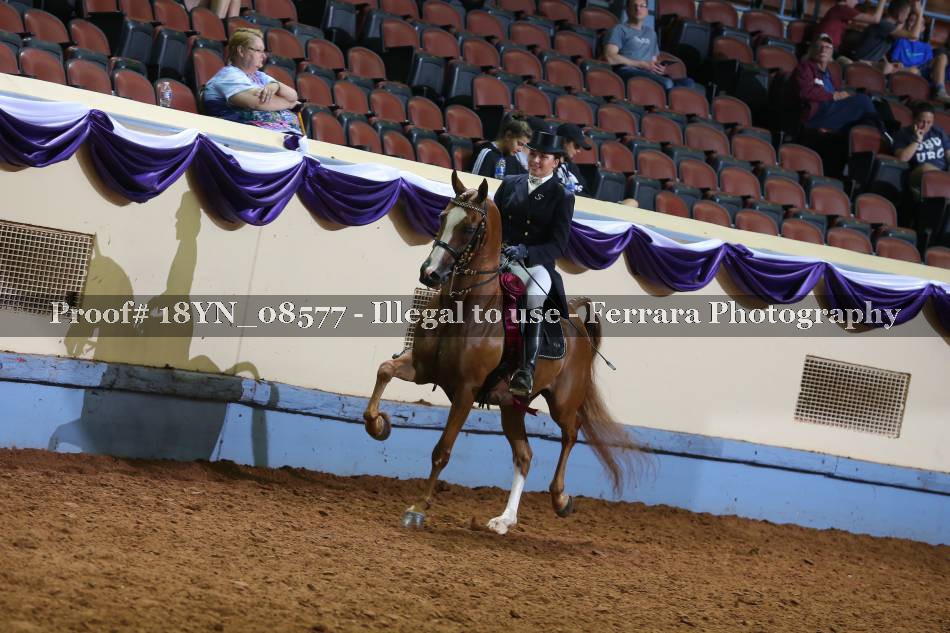 Proof 18YN_08577