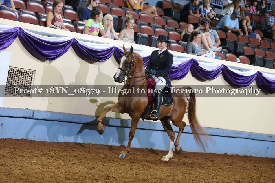 Proof 18YN_08579