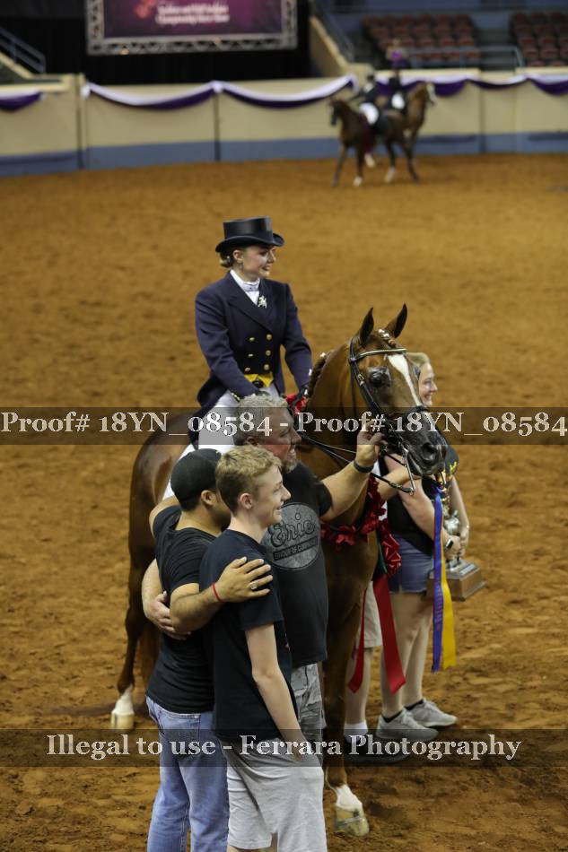 Proof 18YN_08584