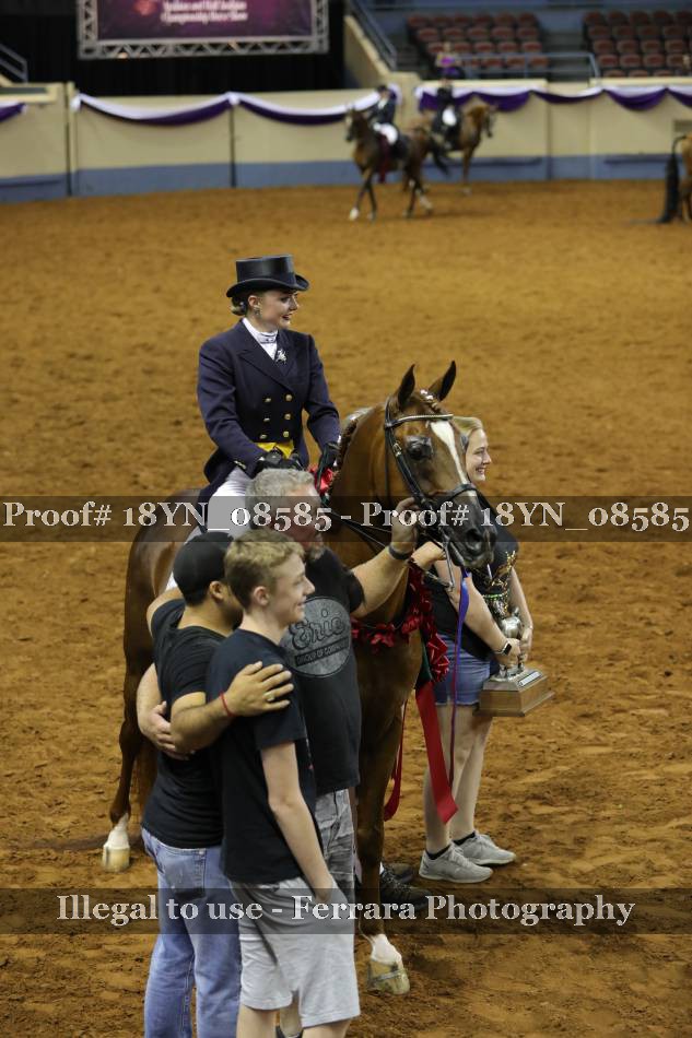 Proof 18YN_08585