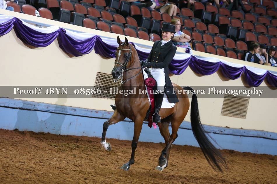 Proof 18YN_08586