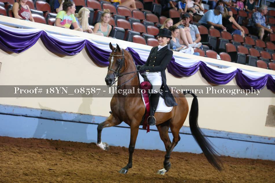 Proof 18YN_08587