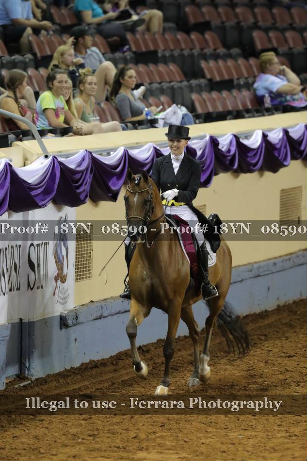 Proof 18YN_08590