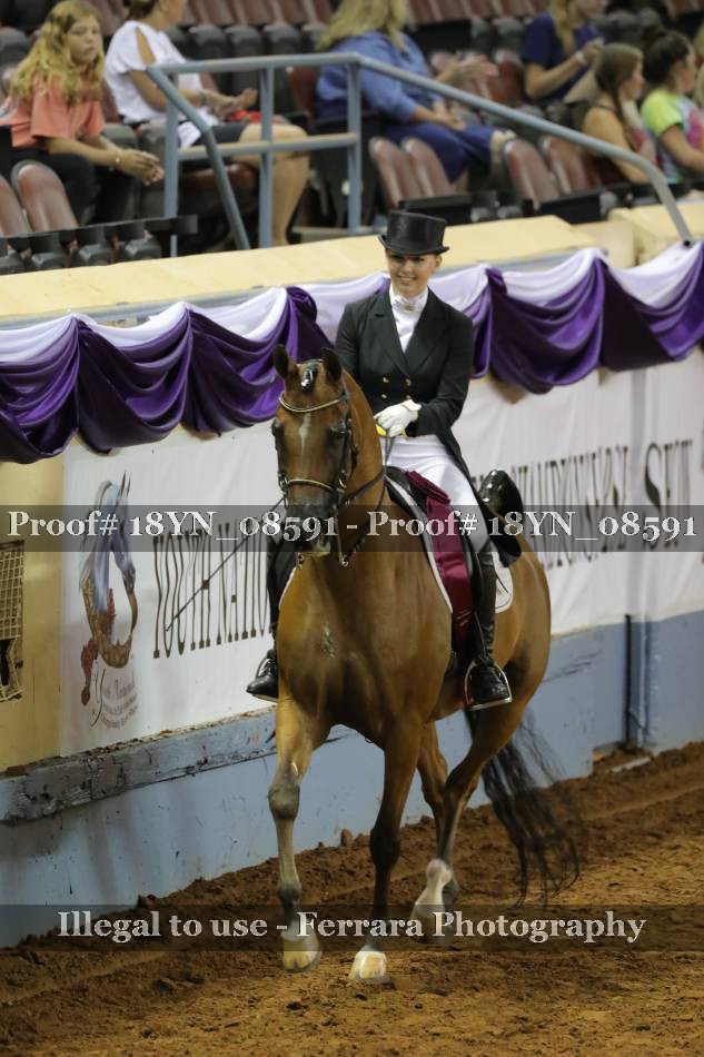 Proof 18YN_08591