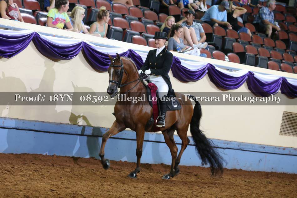 Proof 18YN_08592