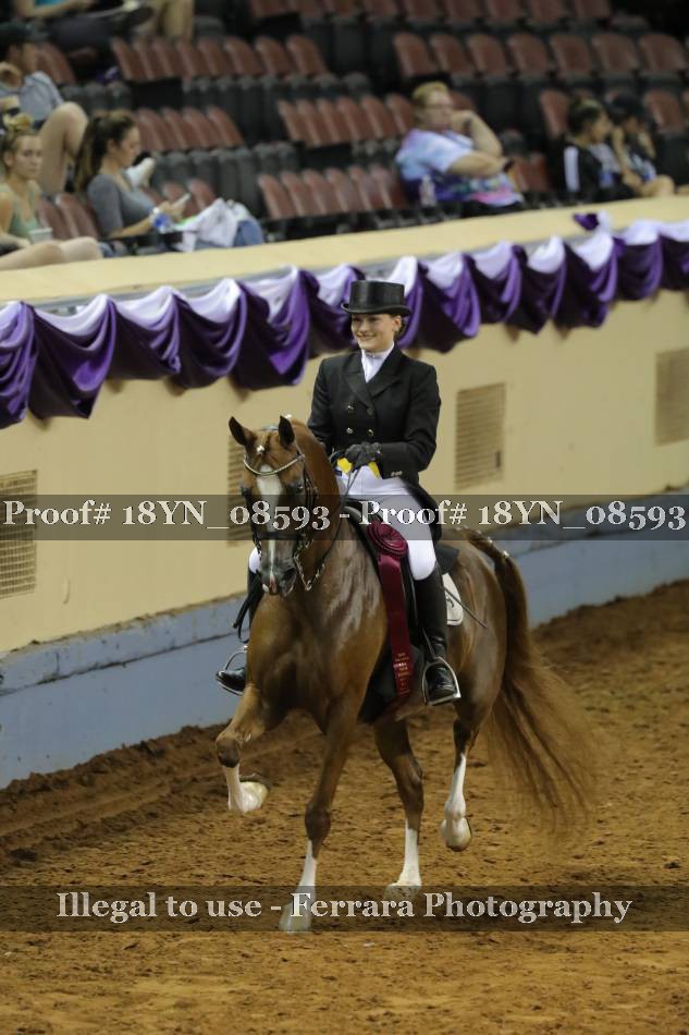 Proof 18YN_08593