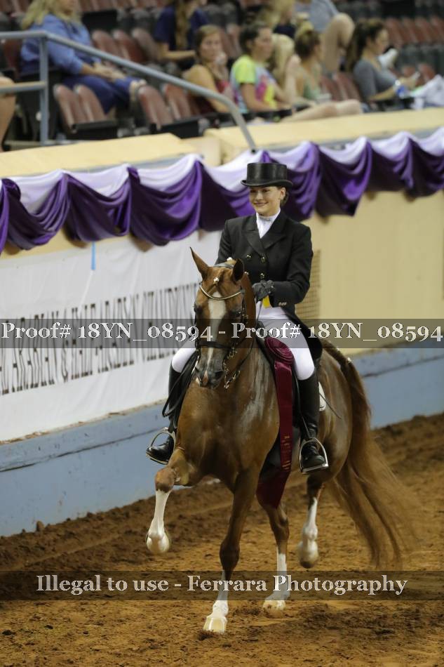 Proof 18YN_08594