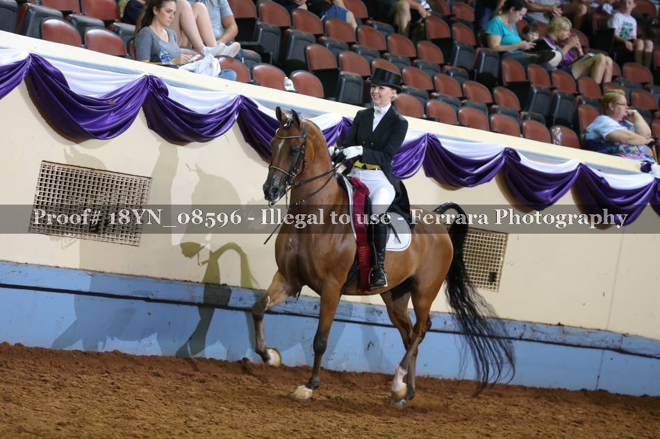 Proof 18YN_08596