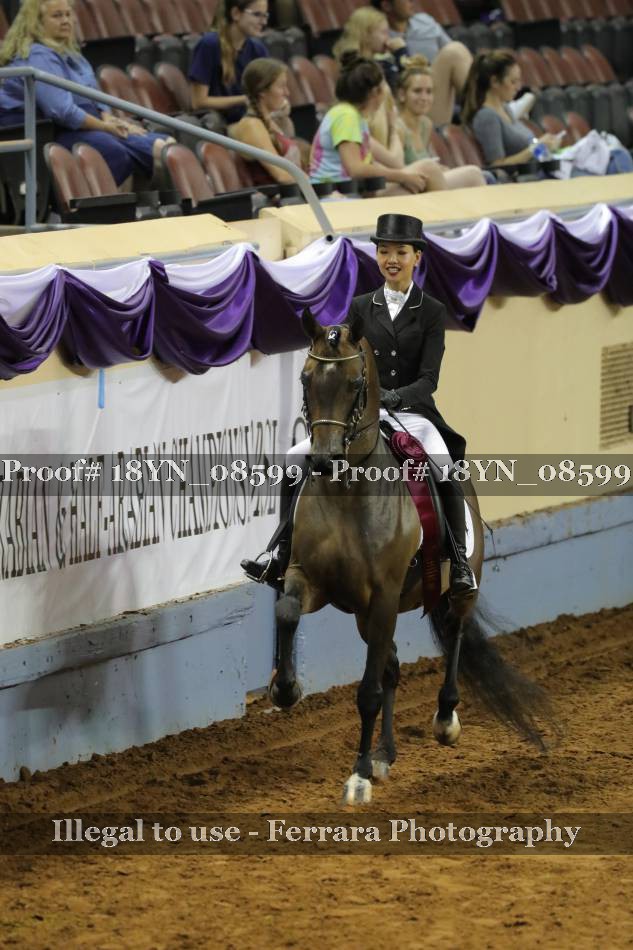 Proof 18YN_08599
