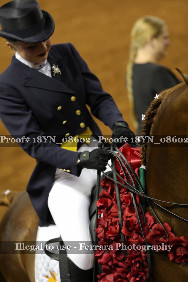 Proof 18YN_08602