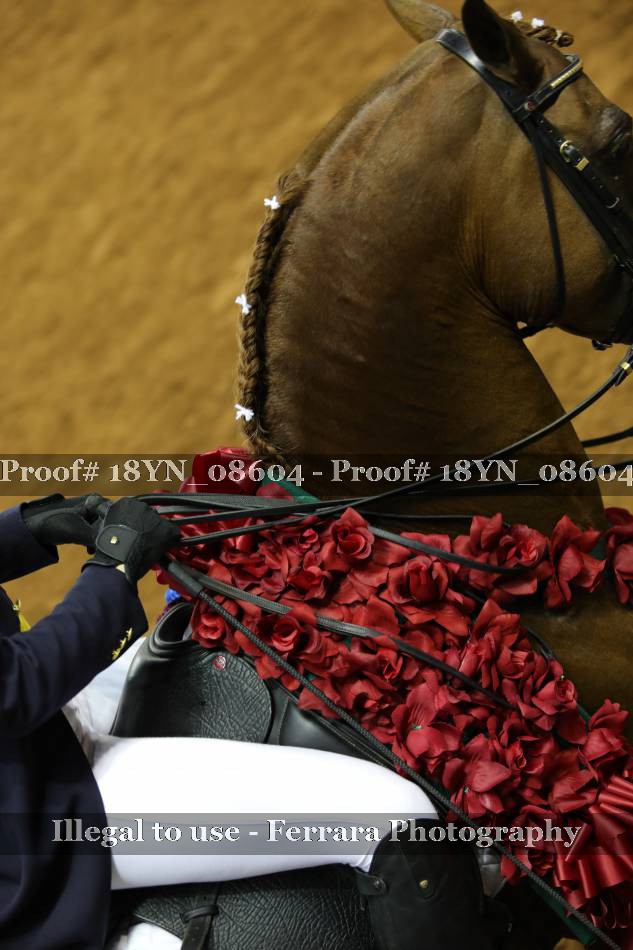 Proof 18YN_08604