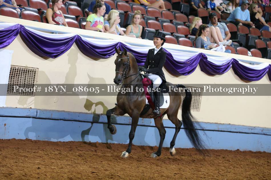 Proof 18YN_08605