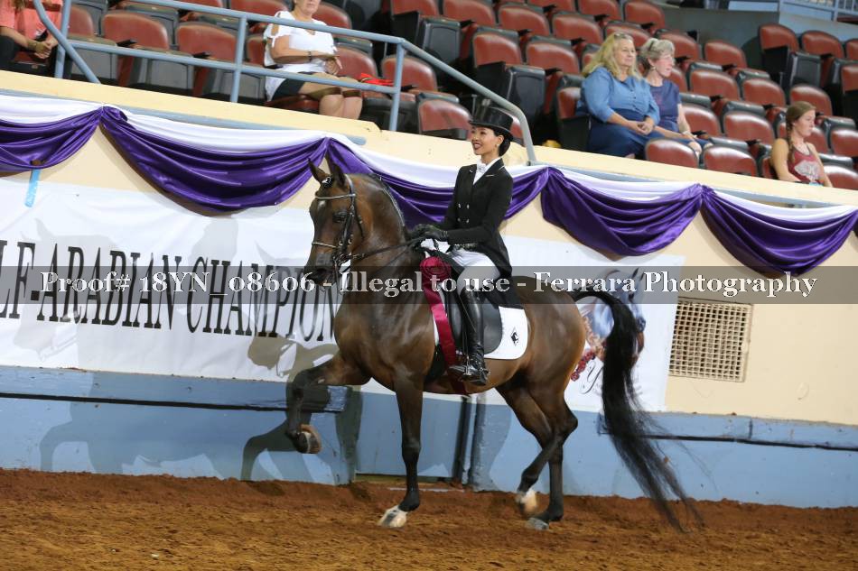 Proof 18YN_08606