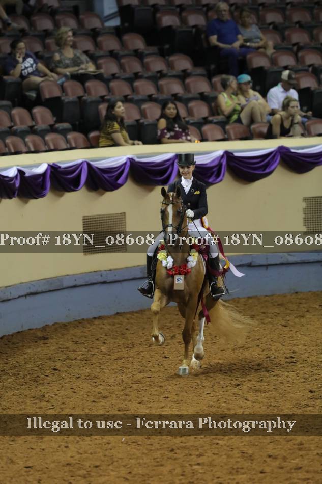 Proof 18YN_08608