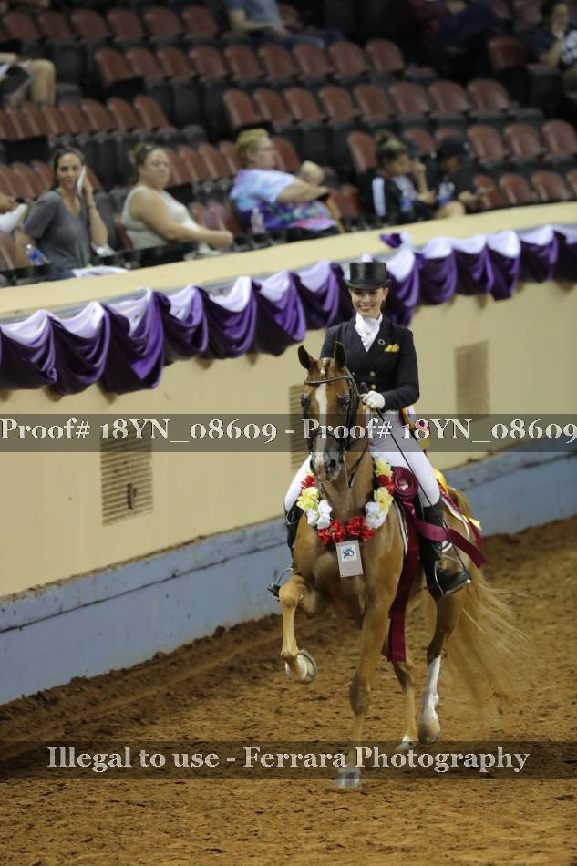 Proof 18YN_08609
