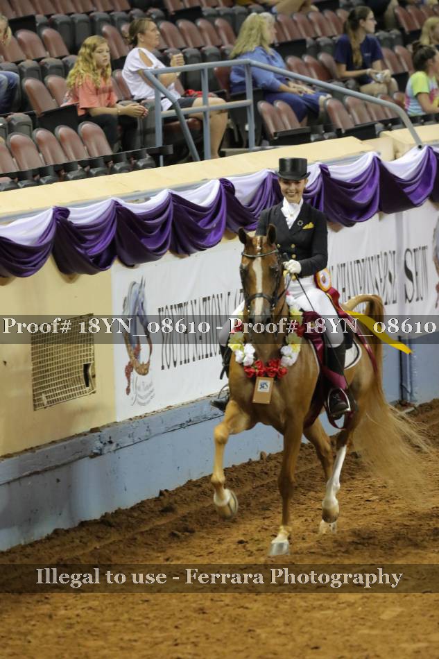 Proof 18YN_08610