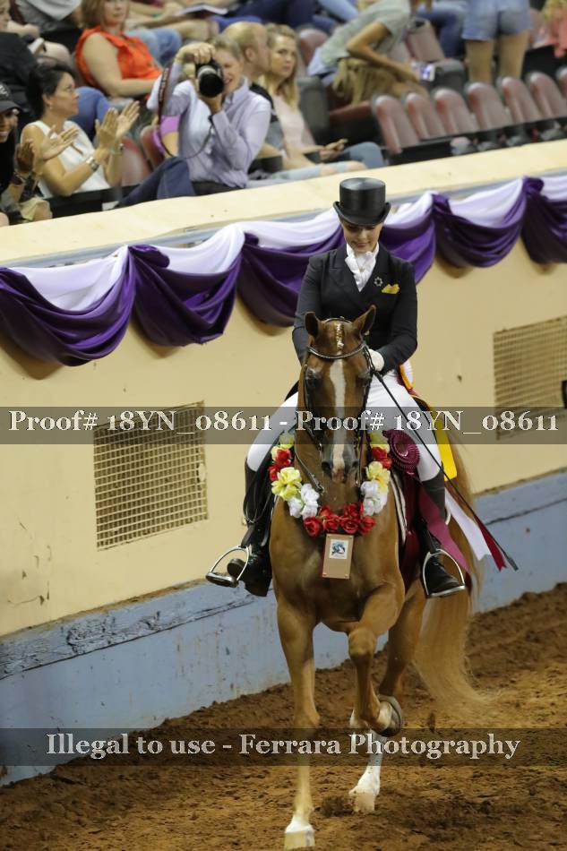 Proof 18YN_08611