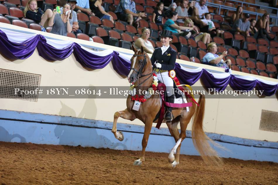 Proof 18YN_08614