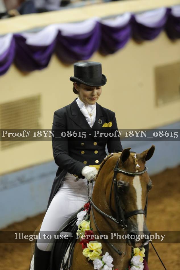 Proof 18YN_08615