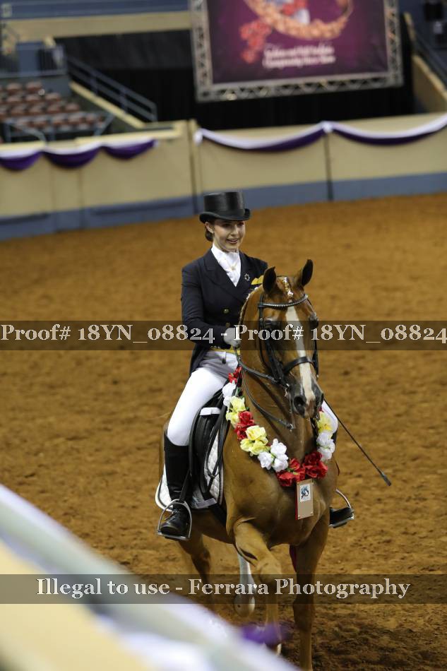 Proof 18YN_08824