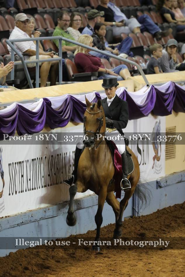 Proof 18YN_33776