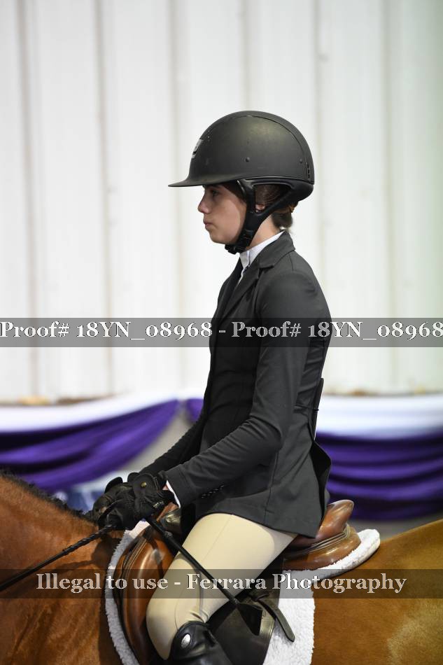 Proof 18YN_08968