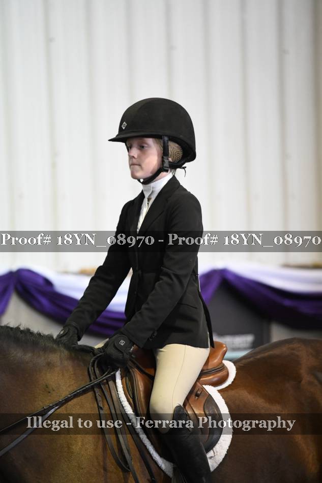 Proof 18YN_08970