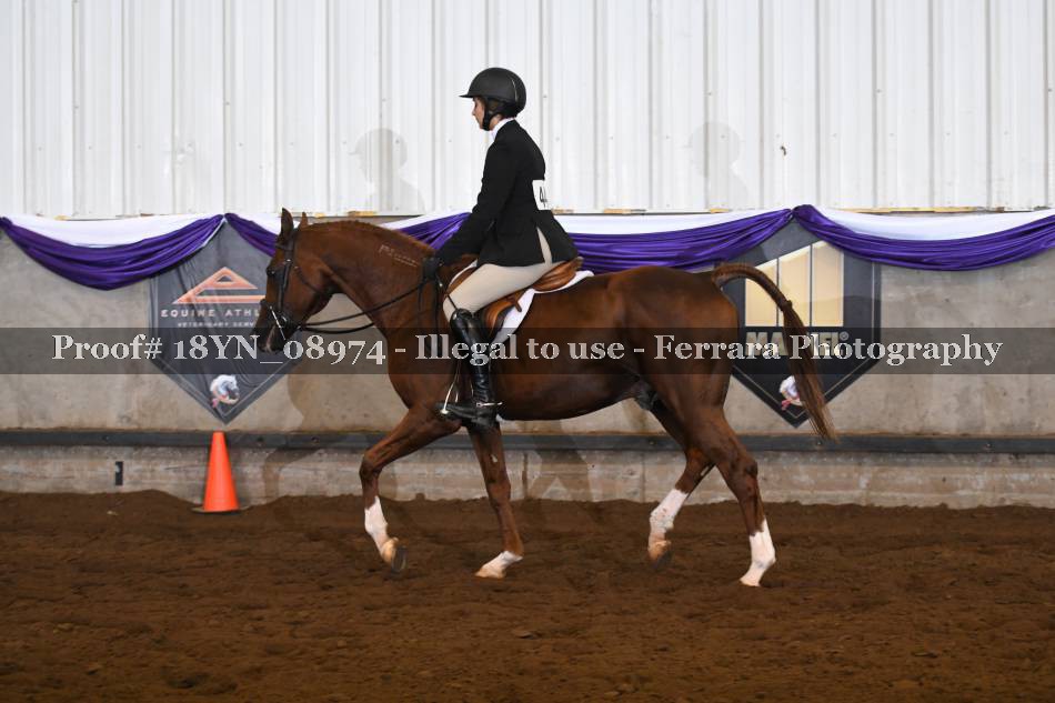 Proof 18YN_08974
