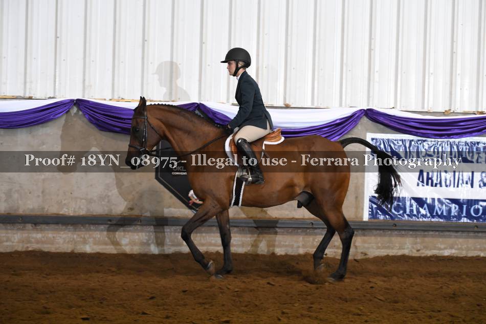Proof 18YN_08975