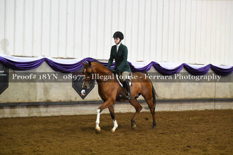 Proof 18YN_08977