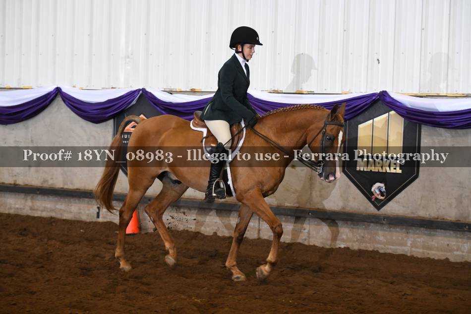 Proof 18YN_08983