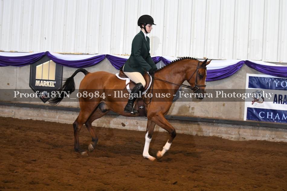 Proof 18YN_08984