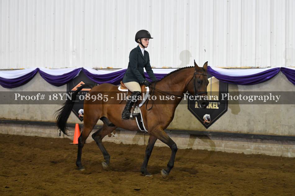 Proof 18YN_08985