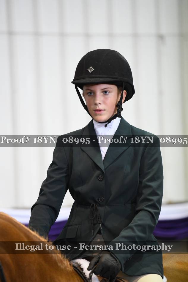Proof 18YN_08995