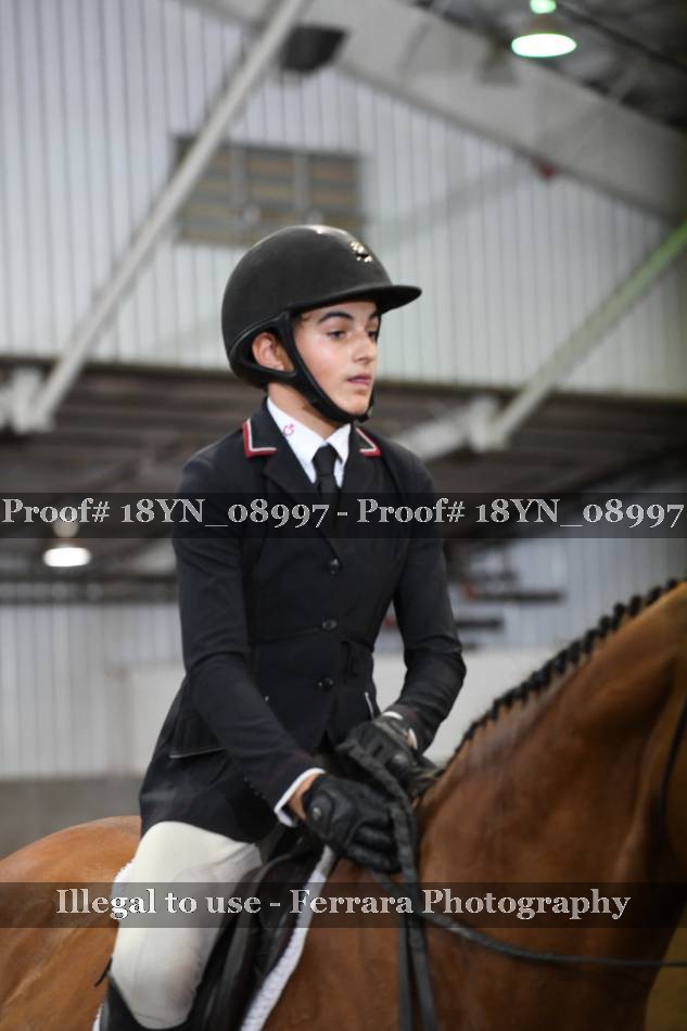 Proof 18YN_08997