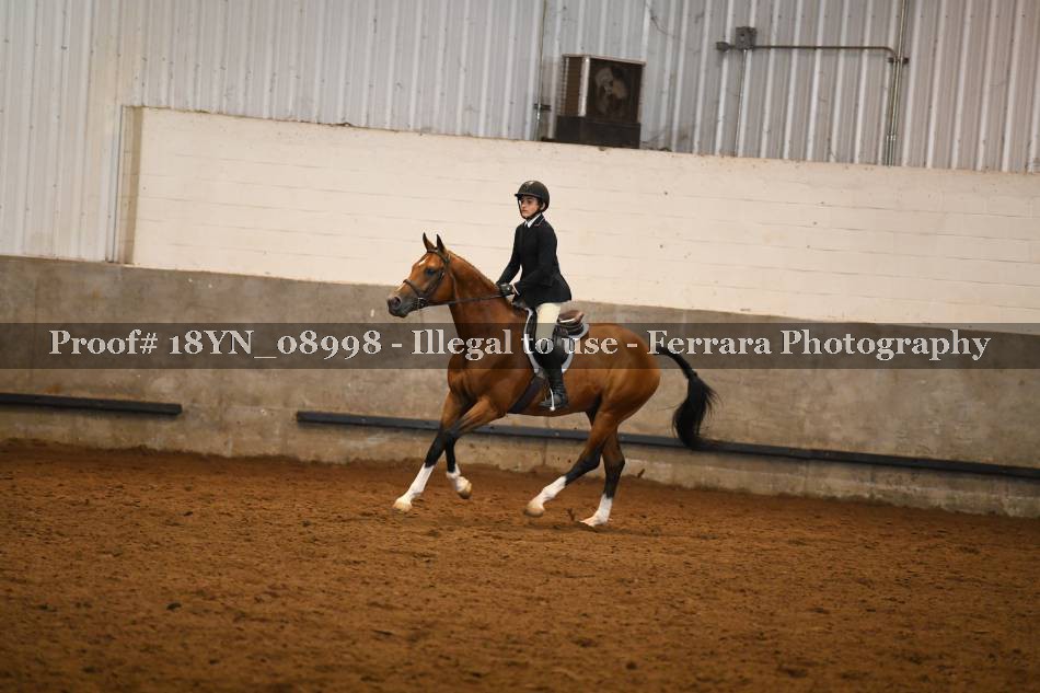 Proof 18YN_08998