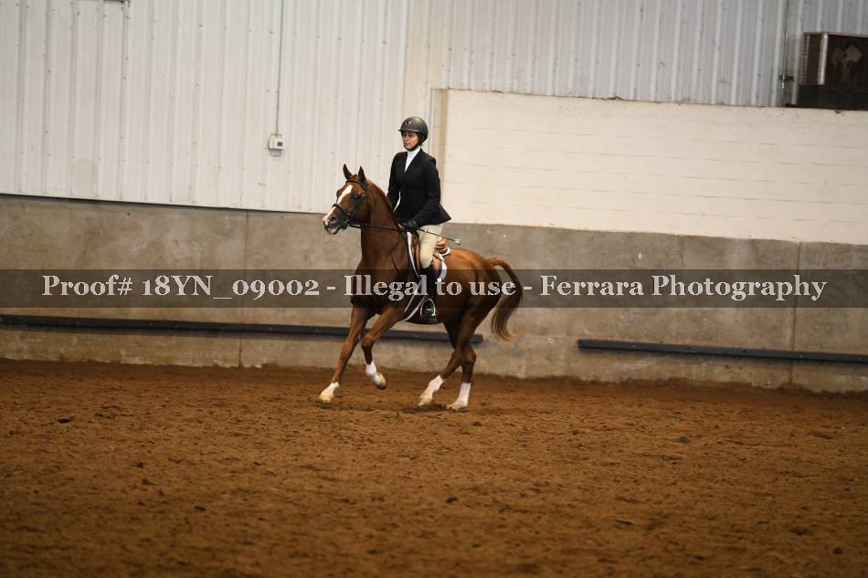 Proof 18YN_09002