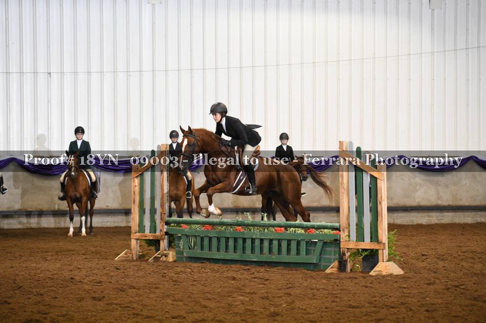 Proof 18YN_09003