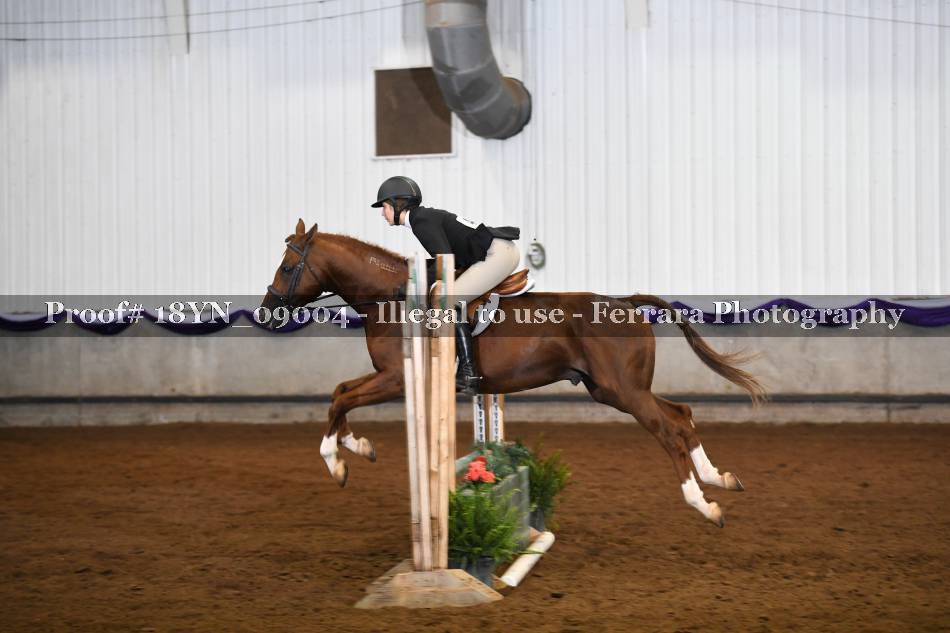 Proof 18YN_09004