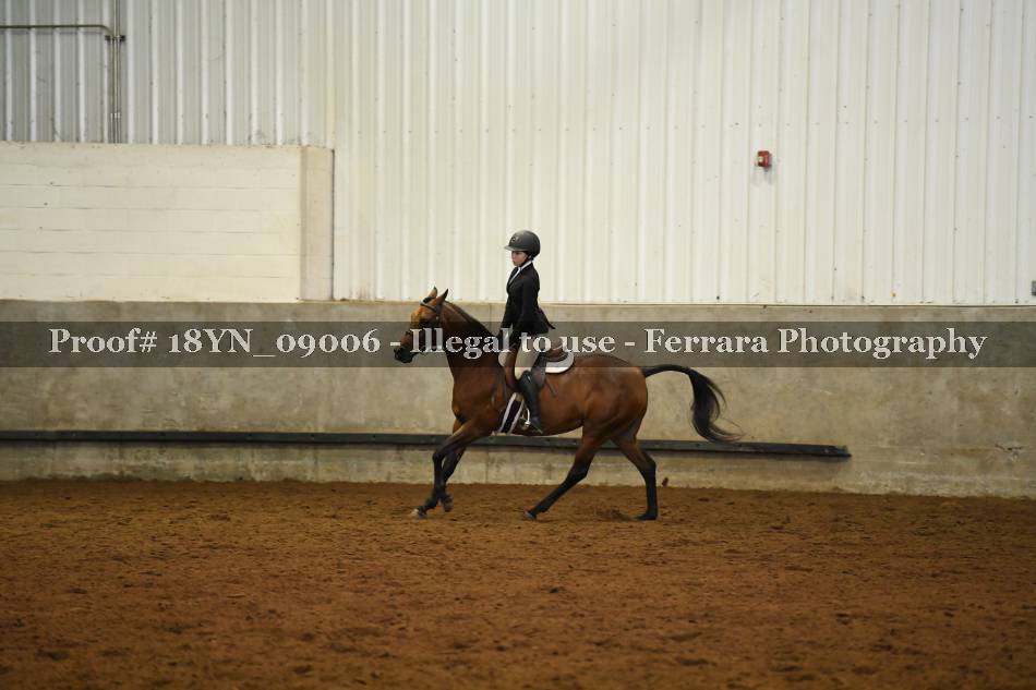 Proof 18YN_09006