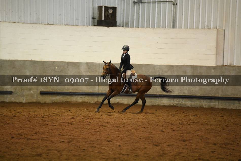 Proof 18YN_09007