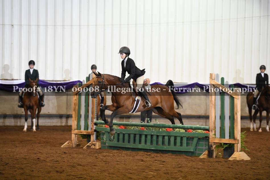 Proof 18YN_09008
