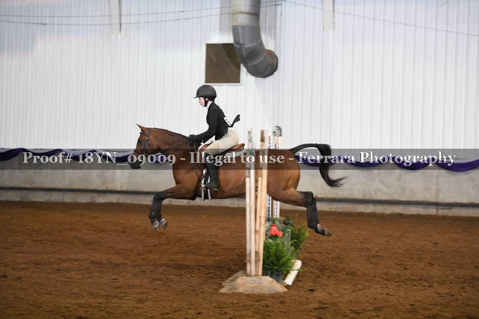 Proof 18YN_09009