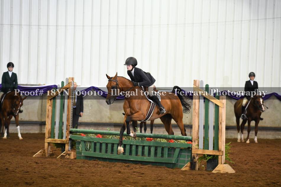 Proof 18YN_09010