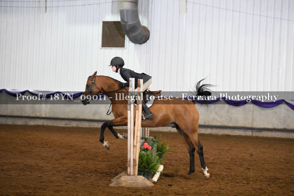 Proof 18YN_09011