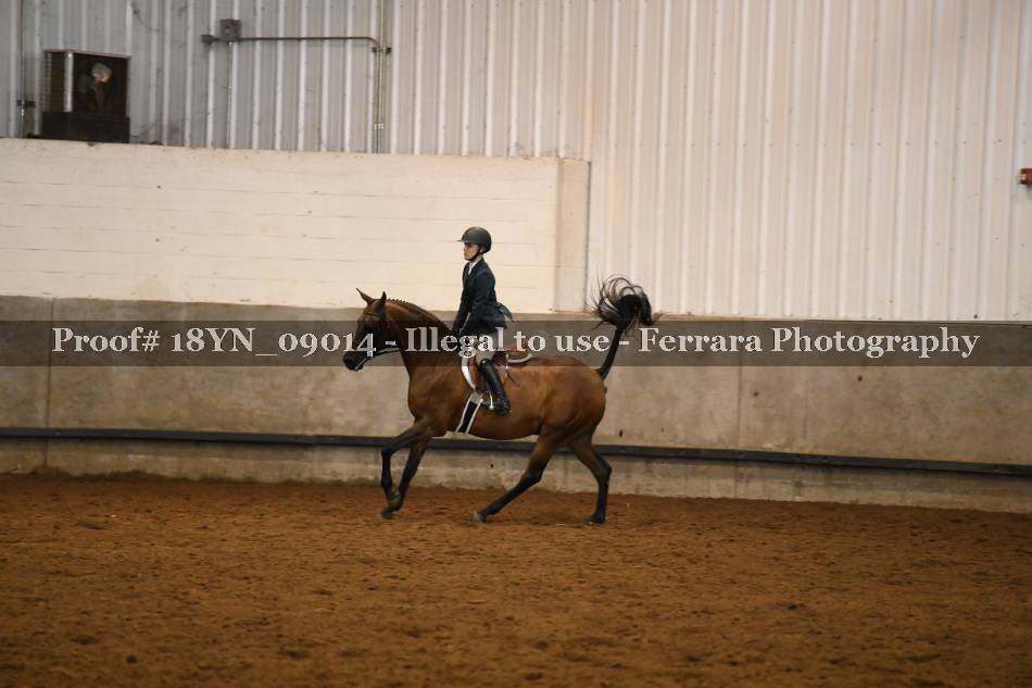 Proof 18YN_09014