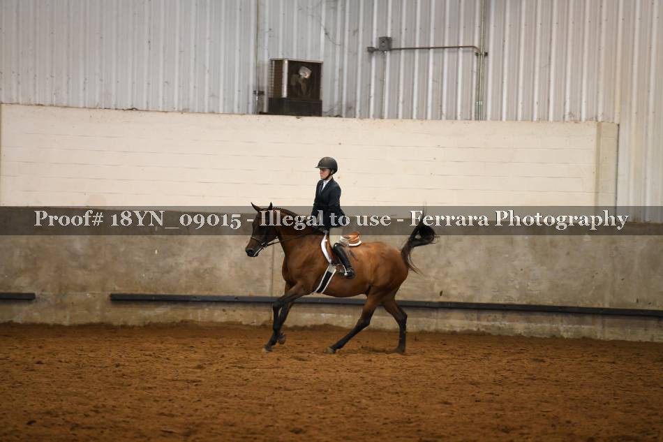 Proof 18YN_09015